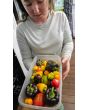 Bell Pepper 'Purple Beauty' Seeds (Certified Organic)