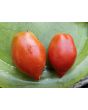 Tomato 'Ropreco Paste' Seeds (Certified Organic)