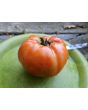 Tomato 'Italian Beefsteak' Seeds (Certified Organic)