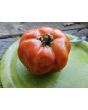 Tomato 'Italian Beefsteak' Seeds (Certified Organic)