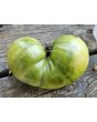 Tomato 'Green Giant' Seeds (Certified Organic)