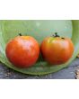 Tomato 'Beefsteak' Seeds (Certified Organic)