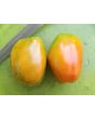 Dwarf Tomato 'San Marzano' Seeds (Certified Organic)