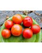 Tomato 'Ukrainian Ultra Early' Seeds (Certified Organic)