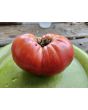 Tomato 'Purple Sicilian Saucer' Seeds (Certified Organic)