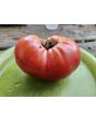 Tomato 'Purple Sicilian Saucer' Seeds (Certified Organic)