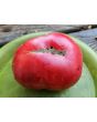 Tomato 'Purple Sicilian Saucer' Seeds (Certified Organic)