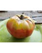 Tomato 'Carol Chyko's Big Paste' Seeds (Certified Organic)
