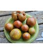 Tomato 'Everett's Rusty Brown' Seeds (Certified Organic)