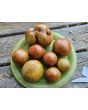 Tomato 'Everett's Rusty Brown' Seeds (Certified Organic)