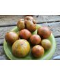 Tomato 'Everett's Rusty Brown' Seeds (Certified Organic)