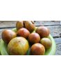 Tomato 'Everett's Rusty Brown' Seeds (Certified Organic)