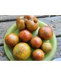 Tomato 'Everett's Rusty Brown' Seeds (Certified Organic)