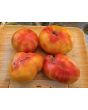 Tomato 'Eye of the Dingo' Seeds (Certified Organic)