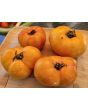 Tomato 'Eye of the Dingo' Seeds (Certified Organic)