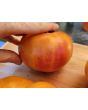 Tomato 'Eye of the Dingo' Seeds (Certified Organic)