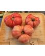 Dwarf Tomato 'Strawberry Lemonade' Seeds (Certified Organic)