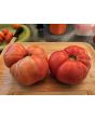 Dwarf Tomato 'Strawberry Lemonade' Seeds (Certified Organic)