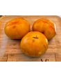 Tomato 'Plan 9 From Outer Space' Seeds (Certified Organic)