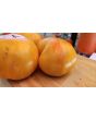 Tomato 'Plan 9 From Outer Space' Seeds (Certified Organic)