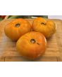Tomato 'Plan 9 From Outer Space' Seeds (Certified Organic)