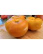 Tomato 'Plan 9 From Outer Space' Seeds (Certified Organic)