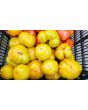 Tomato 'Plan 9 From Outer Space' Seeds (Certified Organic)