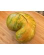 Tomato 'Plan 9 From Outer Space' Seeds (Certified Organic)