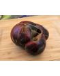 Tomato 'Marsha's Starfighter' Seeds (Certified Organic)