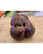 Tomato 'Marsha's Starfighter' Seeds (Certified Organic)
