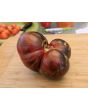 Tomato 'Marsha's Starfighter' Seeds (Certified Organic)