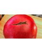 Dwarf Tomato 'Strawberry Lemonade' Seeds (Certified Organic)