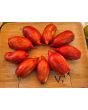 Tomato 'Bella' Seeds (Certified Organic)