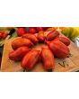 Tomato 'Bella' Seeds (Certified Organic)