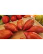 Tomato 'Bella' Seeds (Certified Organic)