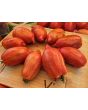 Tomato 'Bella' Seeds (Certified Organic)