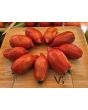 Tomato 'Bella' Seeds (Certified Organic)