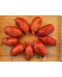 Tomato 'Bella' Seeds (Certified Organic)