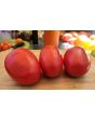Tomato 'State Fair Beefy Pastes' Seeds (Certified Organic)