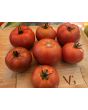 Tomato 'Roman Red' Seeds (Certified Organic)