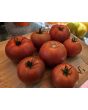 Tomato 'Roman Red' Seeds (Certified Organic)