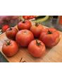 Tomato 'Roman Red' Seeds (Certified Organic)