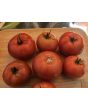 Tomato 'Roman Red' Seeds (Certified Organic)