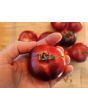 Tomato 'Blue Smoke' Seeds (Certified Organic)