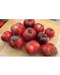 Tomato 'Blue Smoke' Seeds (Certified Organic)