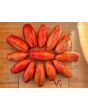 Tomato 'Bella' Seeds (Certified Organic)