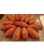Tomato 'Bella' Seeds (Certified Organic)