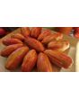 Tomato 'Yellow Tulip' Seeds (Certified Organic)