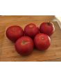 Tomato 'Bola Macizo' Seeds (Certified Organic)