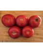Tomato 'Bola Macizo' Seeds (Certified Organic)